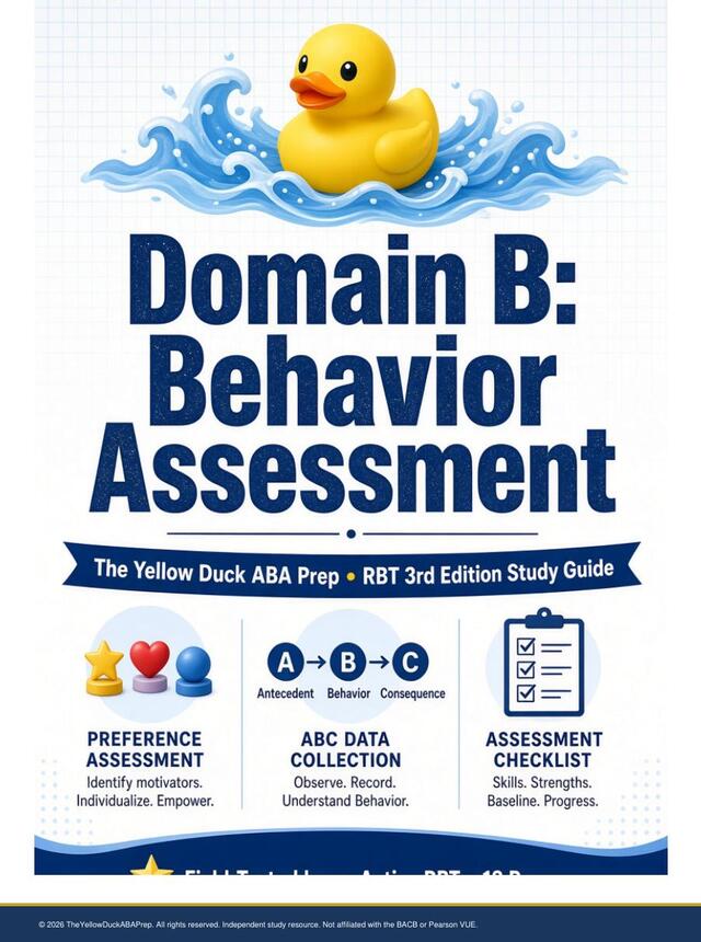 Domain B